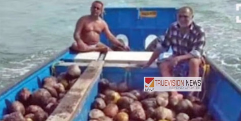 മത്സ്യ ചാകരയില്ല പകരം തേങ്ങ ചാകര..! ; കണ്ണൂരിൽ കടലിൽ പോയ മത്സ്യത്തൊഴിലാളികൾ ഹാപ്പി