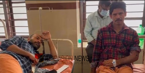 കോഴിക്കോട് ബാലുശ്ശേരിയിൽ രണ്ട് പേർക്ക് പെരുമ്പാമ്പിൻ്റെ കടിയേറ്റു