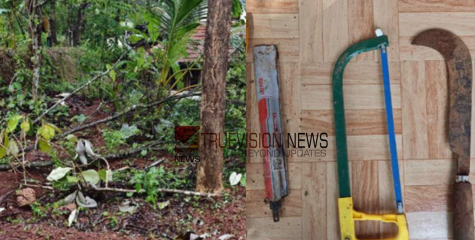 വടകരയില്‍ വീട്ടുവളപ്പിലേത് ഉള്‍പ്പെടെയുള്ള ചന്ദന മരങ്ങള്‍ മോഷ്ടിച്ചു കടത്തി
