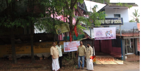 ലോക പരിസ്ഥിതി ദിനത്തിൽ വർഷങ്ങൾക്ക് മുമ്പൊരു  പരിസ്ഥിതി ദിനത്തിൽ നട്ടുവളർത്തിയ നെല്ലിമരം സംരക്ഷിക്കാനുള്ള പോരാട്ടത്തിൽ ചമ്പാട്ടെ ഓട്ടോ ഡ്രൈവർമാർ