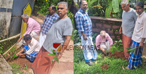 പെൻഷനേഴ്സ് യൂണിയൻ പരിസ്ഥിതി ദിനം ആചരിച്ചു 