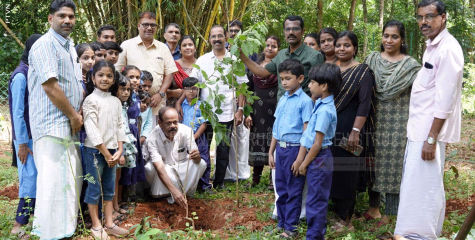 വിദ്യാ വനത്തിലേക്ക് ഒരു തൈനടീല്‍ ഉദ്ഘാടനം 