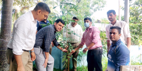 വൃക്ഷതൈ നട്ട് പരിസ്ഥിതി ദിനം ആഘോഷിച്ച് മലബാര്‍ ഗോള്‍ഡ് & ഡയമണ്ട്‌സ്