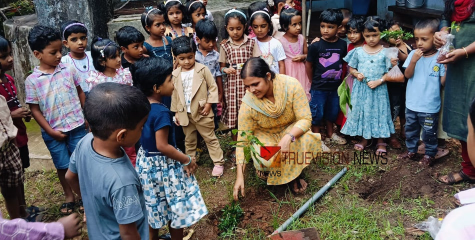 ഡങ്കിപ്പനി പ്രതിരോധം; ആയഞ്ചേരി ഗ്രാമ പഞ്ചായത്തിൽ ഫോഗിംഗ് നടത്തി വൈറ്റ് ഗാർഡ് 