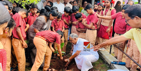 തലമുറകൾക്ക് സമ്മാനം; മുട്ടുങ്ങൽ സൗത്ത് യു.പിയിൽ പരിസ്ഥിതി ദിനാചരണവും വൃക്ഷതൈ നടലും ശ്രദ്ധേയമായി 