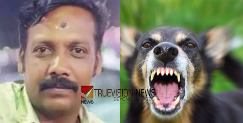 ആറുമാസം മുമ്പ്​ കാലിൽ തെരുവുനായ് നക്കിയിരുന്നെന്ന് ബന്ധുക്കൾ; യുവാവിന്‍റെ മരണം പേവിഷബാധയേറ്റെന്ന് സ്ഥിരീകരണം