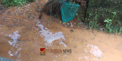 ഇത് പാടമല്ല; ജനസാരഥികൾ കാണുന്നില്ലേ?കത്രിക വീട്ടിൽ - കൊപ്രകണ്ടി മുക്ക് റോഡിൻ്റെ ദുരവസ്ഥ