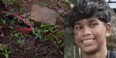'വൈദ്യുതി മോഷ്ടിച്ച് ലൈൻ വലിച്ചത് അരകിലോമീറ്ററോളം, ഇറച്ചിക്കായി പന്നി പിടിക്കൽ ഇവിടെ ബിസിനസാണ്' -  പ്രദേശവാസികൾ