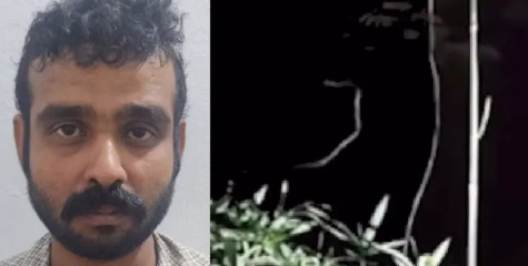 പന്നിക്കെണിയിൽ നിന്നും ഷോക്കേറ്റ്‌ വിദ്യാർഥിമരിച്ച സംഭവത്തിൽ പ്രതി പിടിയിൽ