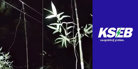 ലൈനില്‍നിന്ന് നേരിട്ട് വൈദ്യുതി മോഷ്ടിച്ചു, ഇന്‍സുലേഷനുമില്ല; ദൃശ്യങ്ങൾ പുറത്തുവിട്ട് കെഎസ്ഇബി  