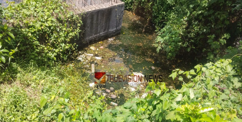 മാലിന്യ തടാകം; കല്ലാച്ചി മത്സ്യമാർക്കറ്റിനടുത്തെ വലിയ കുളം ആരോഗ്യ ഭീഷണിയാവുന്നു