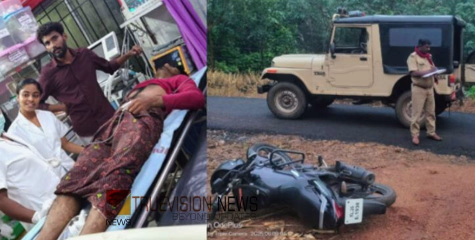 പാലക്കാടും പത്തനംതിട്ടയിലും മലപ്പുറത്തും കാട്ടാന ആക്രമണം; രണ്ട് പേർക്ക് പരിക്ക്, വാഹനം തകർത്തു