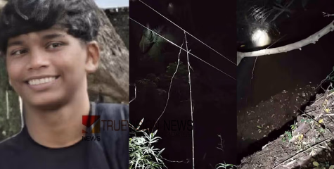 'ഏഴ് മാസം മുമ്പ് വിവരമറിയിച്ചു എന്നത് തെറ്റായ വാർത്ത', നിലമ്പൂരില്‍ വിദ്യാര്‍ഥി ഷോക്കേറ്റ് മരിച്ച സംഭവത്തിൽ പ്രതികരിച്ച് കെഎസ്ഇബി