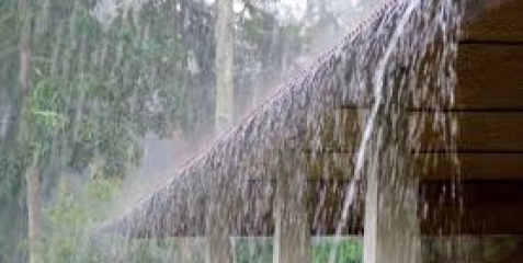 സംസ്ഥാനത്ത് വീണ്ടും മഴ ശക്തമാകും:  ഇന്ന് വിവിധ ജില്ലകളിൽ യെല്ലോ അലർട്ട്.