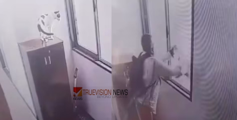 കണ്ണില്ലാ ക്രൂരത, മിണ്ടാപ്രാണിയെ ഏറിഞ്ഞു കൊന്നത് ഒമ്പതാം നിലയില്‍ നിന്ന്; കേസെടുത്ത് പൊലീസ്‌