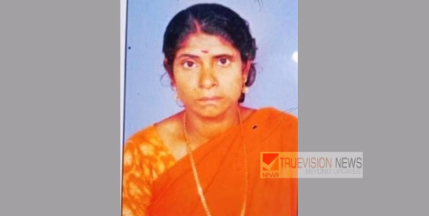  വീണ്ടും കാട്ടാന ആക്രമണം ;  ഇടുക്കിയിൽ ആദിവാസി സ്ത്രീ കൊല്ലപ്പെട്ടു 