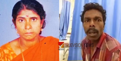 സീതയെ കൊന്നത് കാട്ടാന അല്ല; വീട്ടമ്മയുടെ മരണം കൊലപാതകമെന്ന് പൊലീസ്, ഭർത്താവ് കസ്റ്റഡിയിൽ