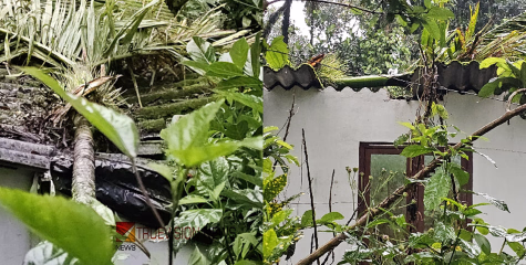 ശക്തമായ മഴയും കാറ്റും: ഇടുക്കിയിൽ കവുങ്ങ് വീടിന് മുകളിലേക്ക് പതിച്ച് മൂന്നു വയസ്സുകാരന് പരിക്ക്