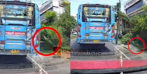 കണ്ണൂരിൽ സ്വകാര്യ ബസിൽ നിന്ന് പ്ലാസ്റ്റിക് കുപ്പികൾ പുറത്തെറിഞ്ഞ  ബസ് ജീവനക്കാരെ കുടുക്കിയ കാർ യാത്രക്കാർക്ക് അഭിനന്ദനവുമായി മന്ത്രി എംബി രാജേഷ് ; ഇവർക്ക് പാരിതോഷികവും നൽകും