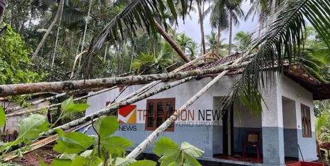 ആഞ്ഞുവീശി കാറ്റ് , കോഴിക്കോട് മിന്നൽ ചുഴലി; അടുത്ത അഞ്ച് ദിവസം വ്യാപക മഴയ്ക്ക് സാധ്യത