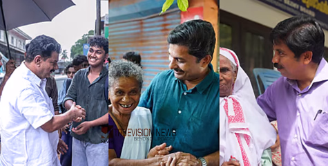 'പുറത്തു നിന്നെത്തിയ രാഷ്ട്രീയ പ്രവർത്തകർ ആറ് മണിക്ക് ശേഷം മണ്ഡലം വിട്ടു പോകണം'; നിലമ്പൂരിൽ നാളെ കൊട്ടിക്കലാശം