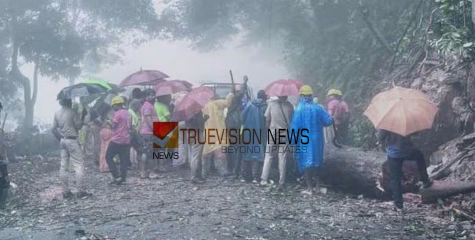 ഇനി ചുരത്തിൽ പോകാം ...; താമരശ്ശേരി ചുരത്തില്‍ അപകടാവസ്ഥയിലായിരുന്ന മരം മുറിച്ചുമാറ്റി; ഗതാഗതം ഭാഗികമായി പുനഃസ്ഥാപിച്ചു