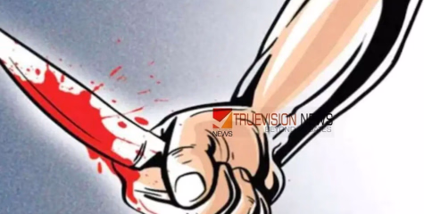 കുടുംബവഴക്ക്; പാലക്കാട് ഭര്‍തൃപിതാവിനെ മരുമകള്‍ വെട്ടിപരിക്കേല്‍പ്പിച്ചു  