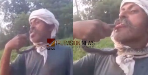 ചുംബനം ശെരിക്കും ഏറ്റു...;  പാമ്പിനെ ചുംബിക്കുന്ന റീൽസ് ചിത്രീകരിച്ചയാൾ കടിയേറ്റ് ഗുരുതരാവസ്ഥയിൽ