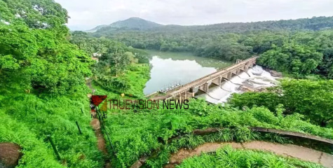 വിനോദസഞ്ചാരികൾക്ക് ഭീ​ഷ​ണി; ഒ​റ്റ​ക്ക​ൽ ലു​ക്കൗ​ട്ട് പ​രി​സ​രം കാ​ടു​മൂ​ടി ഇ​ഴ​ജ​ന്തു​ക്ക​ളു​ടെ കേ​ന്ദ്ര​മാ​യി 