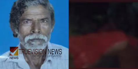 വീണ്ടും കാട്ടാനക്കലി, മുണ്ടൂരിൽ കാട്ടാന ആക്രമണത്തിൽ വയോധികൻ കൊല്ലപ്പെട്ടു