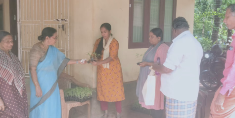 കട്ടോളി നവകേരള വായനശാല & ഗ്രന്ഥാലയത്തിൽ സൗജന്യ പച്ചക്കറി തൈകൾ വിതരണം നടത്തി