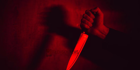 കുടുംബകലഹം ചെന്നെത്തിയത് കൊലപാതകത്തിൽ; കോട്ടയത്ത് വയോധികൻ കുത്തേറ്റു മരിച്ചു