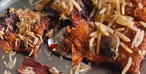 ചിക്കൻ പീസിനടയിൽ ഒച്ച്; തൃശൂരിൽ പാഴ്സലായി വാങ്ങിയ മന്തി റൈസിൽ ഒച്ചിനെ കണ്ടതായി പരാതി