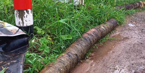 ഇരിട്ടി കൂട്ടുപുഴ റോഡിൽ തെങ്ങ് വീണ് ബസ് കാത്തിരിപ്പ് കേന്ദ്രം തകർന്നു