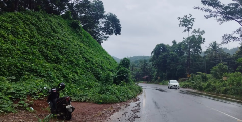 സിഗ്നൽ ബോർഡുകൾ കാണാനില്ല വില്ലനായി കാട്ടുപയർ: റോഡിൽ അപകട സാധ്യതയേറുന്നു