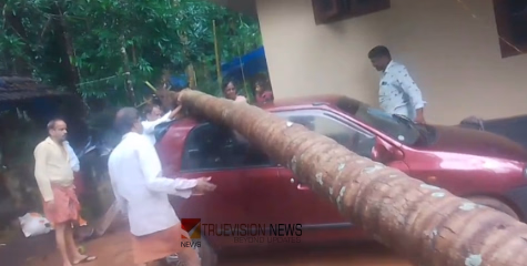 വീശിയടിച്ച് കാലവർഷക്കാറ്റ്; കോഴിക്കോട് നാദാപുരം മേഖലയില്‍ ശക്തമായ കാറ്റിലും മഴയിലും വ്യാപക നാശം