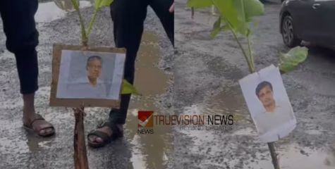 യാത്ര ദുസഹം; മുഖ്യമന്ത്രിയുടെയും മുഹമ്മദ് റിയാസിന്റെയും ഫോട്ടോകൾ പതിച്ച വാഴകൾ റോഡിലെ കുഴിയിൽ നട്ട് കെ എസ് യു പ്രതിഷേധം
