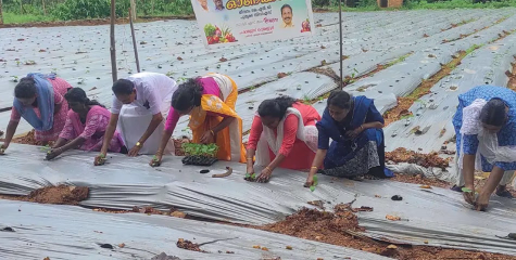 ഈ ഓണം തകർക്കും , പൂമണം പരക്കും   