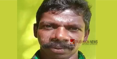 പനിബാധിച്ച് മരിച്ചയാൾക്ക് പേവിഷ ബാധ സ്ഥിരീകരിച്ചു