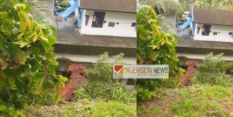 കനത്ത മഴ ; പാറാൽ പൊതുവാച്ചേരിയിൽ റോഡിടിഞ്ഞ് വീടിന് കേട്പാട്