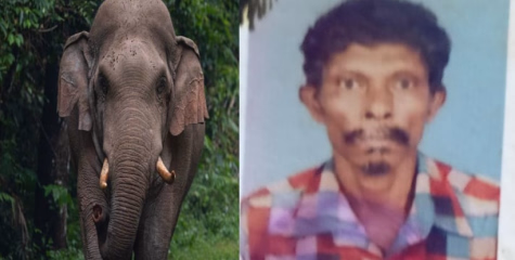 നിലമ്പൂരിൽ കാട്ടാന ആക്രമണത്തിൽ ആദിവാസി യുവാവ് കൊല്ലപ്പെട്ടു