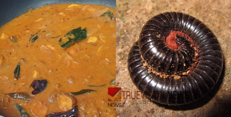 ഭക്ഷണം കഴിക്കുന്നതിനിടെ മസാലക്കറിയില്‍ തേരട്ട; ‘വൈഗ’ ഹോട്ടലിന് പൂട്ടിട്ട് ആരോഗ്യവകുപ്പ്