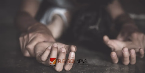 ഐഐടിയിൽ ഇരുപതുകാരിയായ വിദ്യാർഥിനിക്കെതിരെ ലൈംഗിക പീഡനം; ഫുഡ് കോർട്ട് ജീവനക്കാരൻ അറസ്റ്റിൽ