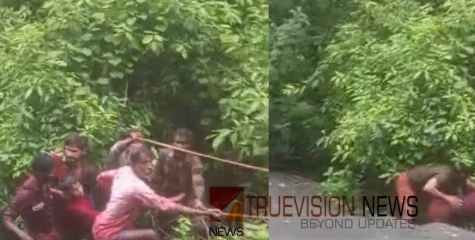 വെള്ളച്ചാട്ടത്തില്‍ വീണ് ഒഴുകിപ്പോയ വിദ്യാര്‍ത്ഥിക്ക് തുണയായത് മരചില്ല