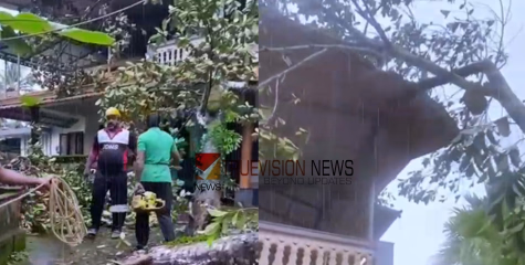 കനത്ത കാറ്റും മഴയും; കള്ളാട് വീടിനു മുകളിൽ മരം വീണ് മേൽക്കൂര തകർന്നു