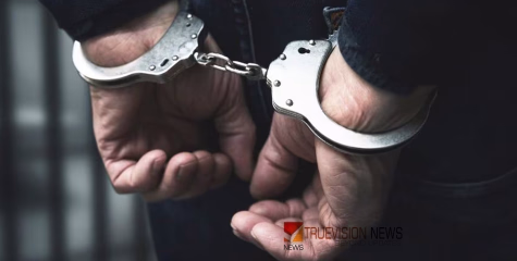 വാതിലിലും ചുവരിലും ഒളിപ്പിച്ച നിലയിൽ; കപ്പൽ വഴി കടത്താൻ ശ്രമിച്ച 110 കിലോ ലഹരി പിടികൂടി