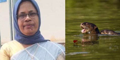 ആറ്റിൽ തുണി കഴുകുന്നതിനിടെ നീർനായയുടെ കടിയേറ്റു; വീട്ടമ്മ കുഴഞ്ഞു വീണ് മരിച്ചു