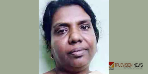 ചില്ലറകളിയൊന്നും അല്ലായിരുന്നല്ലോ.....! വ​യോ​ധി​ക​യെ മ​ർ​ദ്ദി​ച്ചു വീ​ഴ്ത്തി സ്വ​ർ​ണ​മാ​ല ക​വ​രാ​ൻ ശ്രമം സ്‌ത്രീ പി​ടി​യി​ൽ