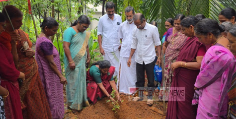 കുന്നോത്ത്പറമ്പ് ഗ്രാമപഞ്ചായത്ത് 5000 ഫലവൃക്ഷത്തൈ നട്ടു