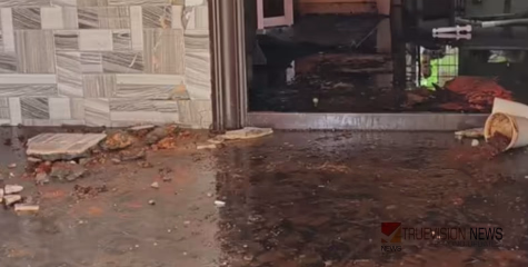 വീടിനകം മുഴുവന്‍ ഗ്യാസ് നിറഞ്ഞു; ലൈറ്റ് ഓൺ ചെയ്തതോടെ പൊട്ടിത്തെറി, തീ പിടിച്ച് ദമ്പതികൾക്ക് ​ഗുരുതര പരിക്ക്